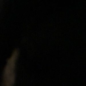 Meet your Posher, Eva